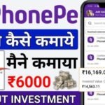 Phone Pe से पैसे कैसे कमाएं